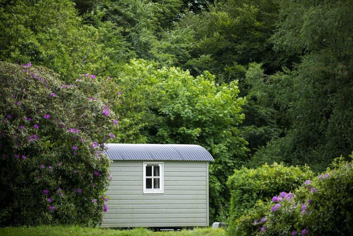 Blackstairs Shepherds Huts Killedmond Exterior foto
